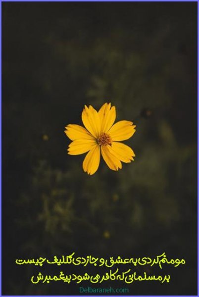  عکس هاي‌ عاشقانه برای اینستاگرام