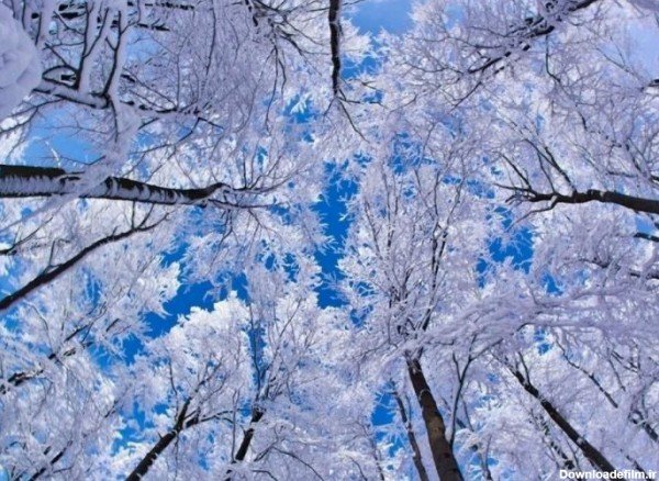 عکسهای زیبای زمستانی