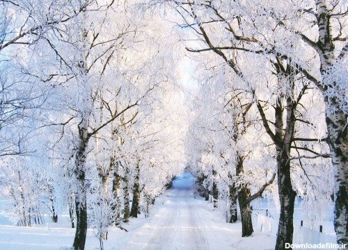  عکسهای زیبای زمستانی