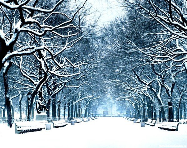  عکسهای زیبای زمستانی