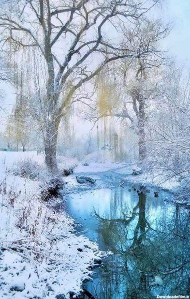  عکس شب برفی برای پروفایل