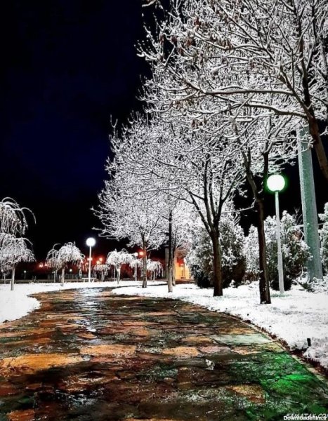  عکس شب برفی برای پروفایل