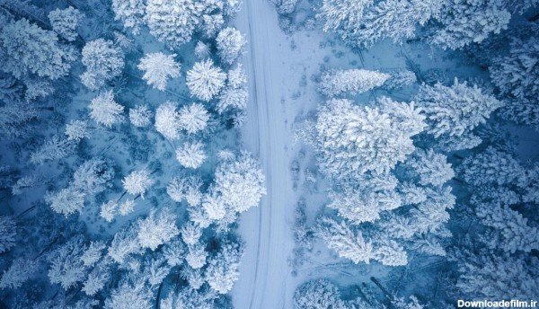  عکس شب برفی برای پروفایل