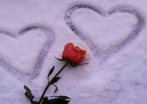  عکس گل برفی برای پروفایل