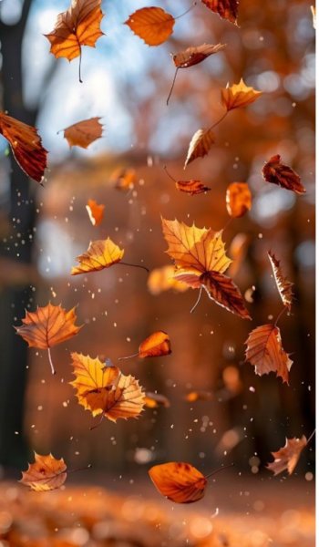  عکس پاییزی برای پروفایل 1404