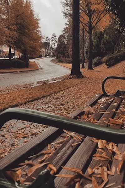  عکس پاییزی برای پروفایل واتساپ