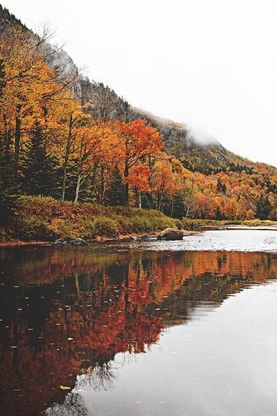 عکس پروفایل پاییز عاشقانه