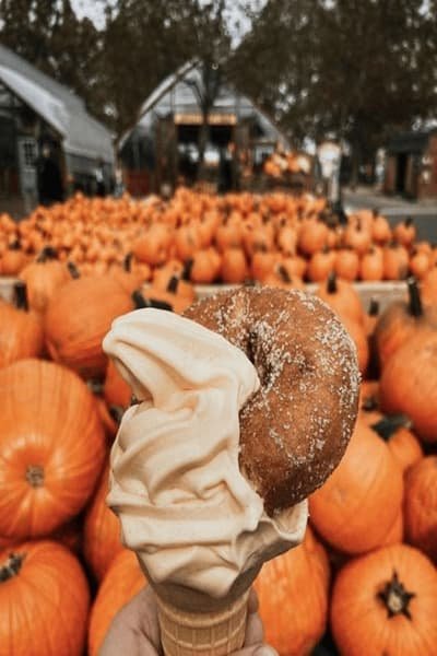  عکس پروفایل پاییز عاشقانه