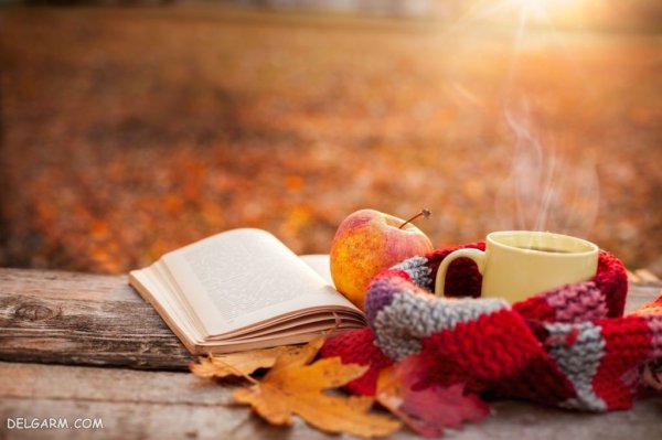  عکس فصل پاییز برای زمینه