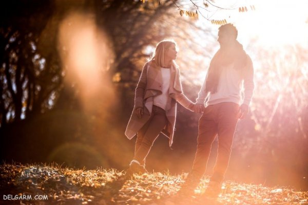  عکس برگ درختان در فصل پاییز