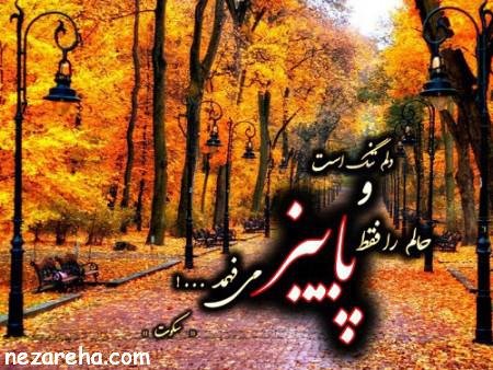  پروفایل پاییز