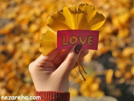  پروفایل پاییز