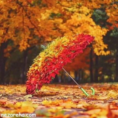  پروفایل پاییز