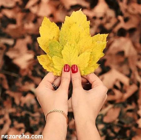  پروفایل پاییز