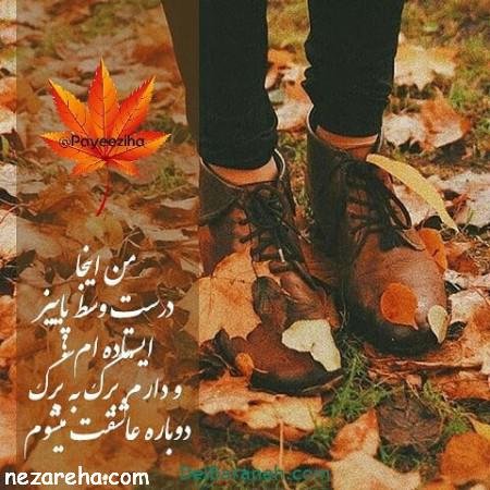  پروفایل پاییز