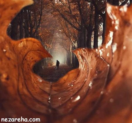  پروفایل پاییز