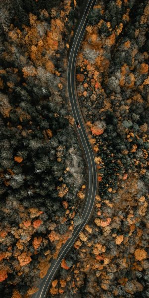  عکس فصل پاییز برای صفحه گوشی