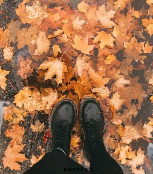  پروفایل پاییزی