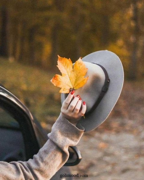  پروفایل پاییزی