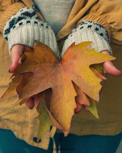  پروفایل پاییزی