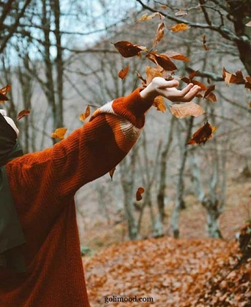  پروفایل پاییزی