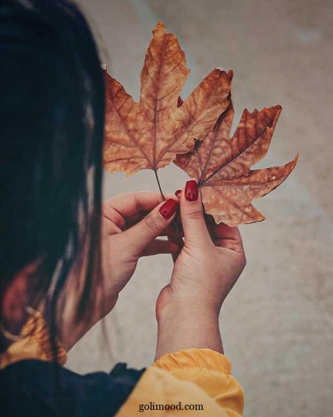  پروفایل پاییزی