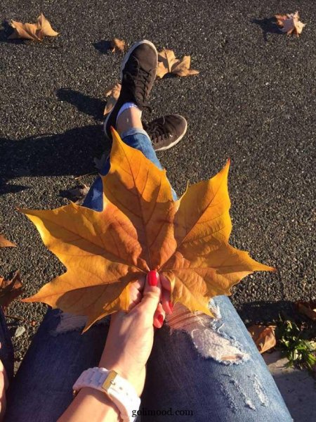  پروفایل پاییزی