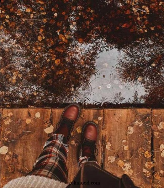  پروفایل پاییزی