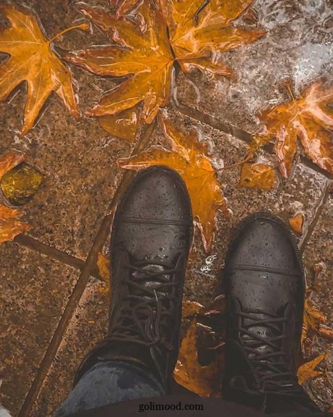  پروفایل پاییزی