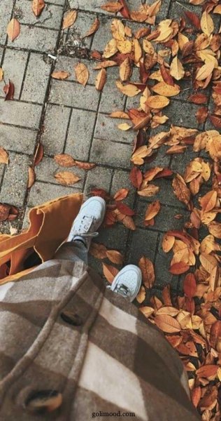  پروفایل پاییزی