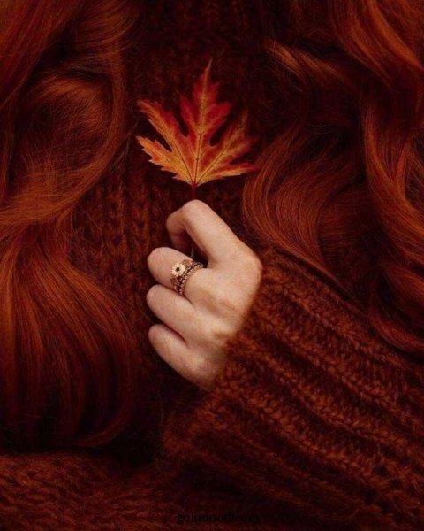  پروفایل پاییزی