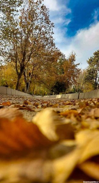  پروفایل پاییز شاد