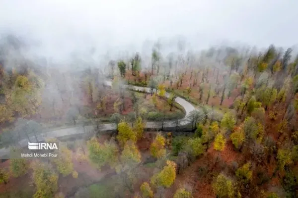 عکس پاییز شمال