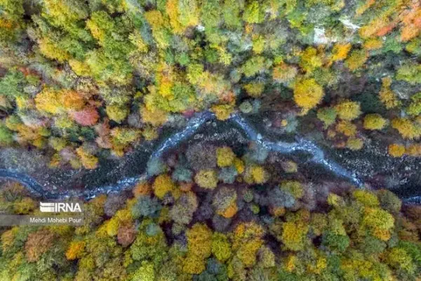  عکس پاییز شمال