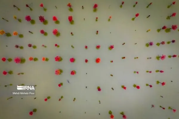  عکس پاییز شمال