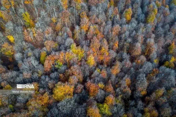  عکس پاییز شمال