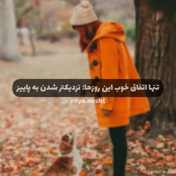  پروفایل پاییز و تنهایی