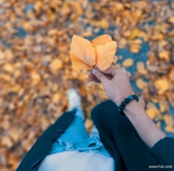  پروفایل پاییز و تنهایی