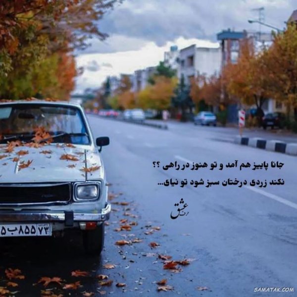  پروفایل پاییز و تنهایی