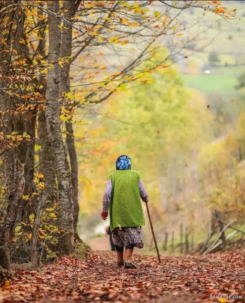  پروفایل پاییز و تنهایی