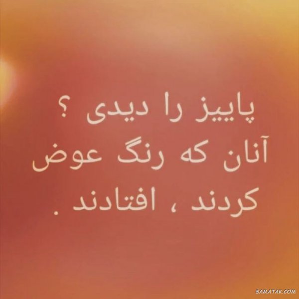  پروفایل پاییز و تنهایی