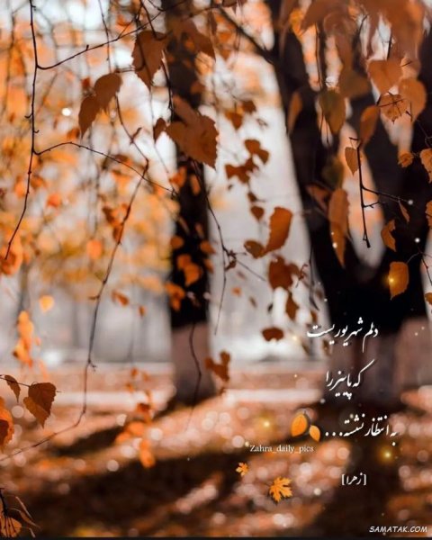  پروفایل پاییز و تنهایی