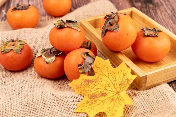  عکس خرمالو برای پروفایل