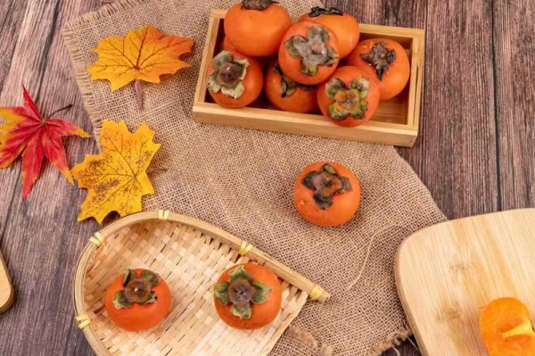  عکس خرمالو برای پروفایل