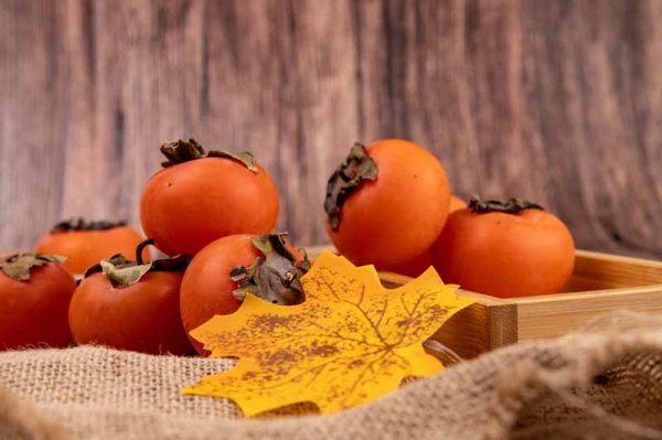  عکس خرمالو برای پروفایل