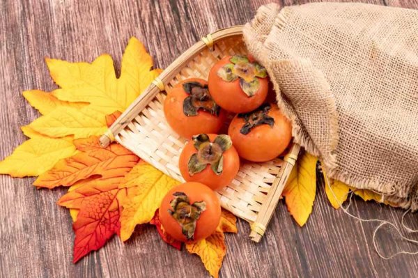  عکس خرمالو برای پروفایل