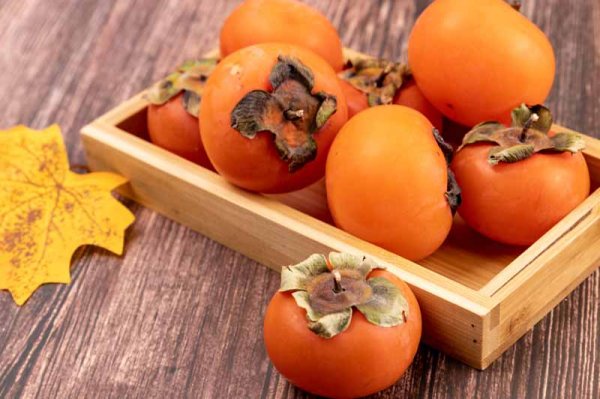  عکس خرمالو برای پروفایل