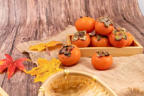  عکس خرمالو برای پروفایل