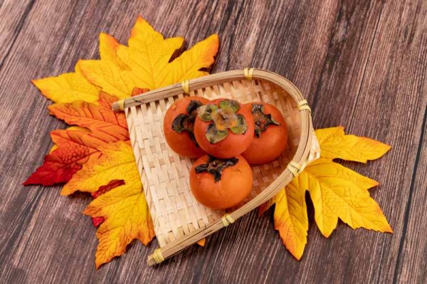  عکس خرمالو برای پروفایل