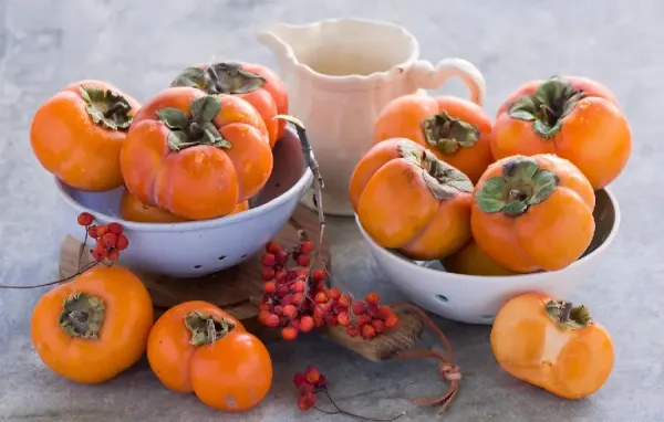  عکس درخت خرمالو در پاییز